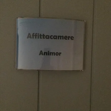 Πανσιόν Animor Κάλιαρι